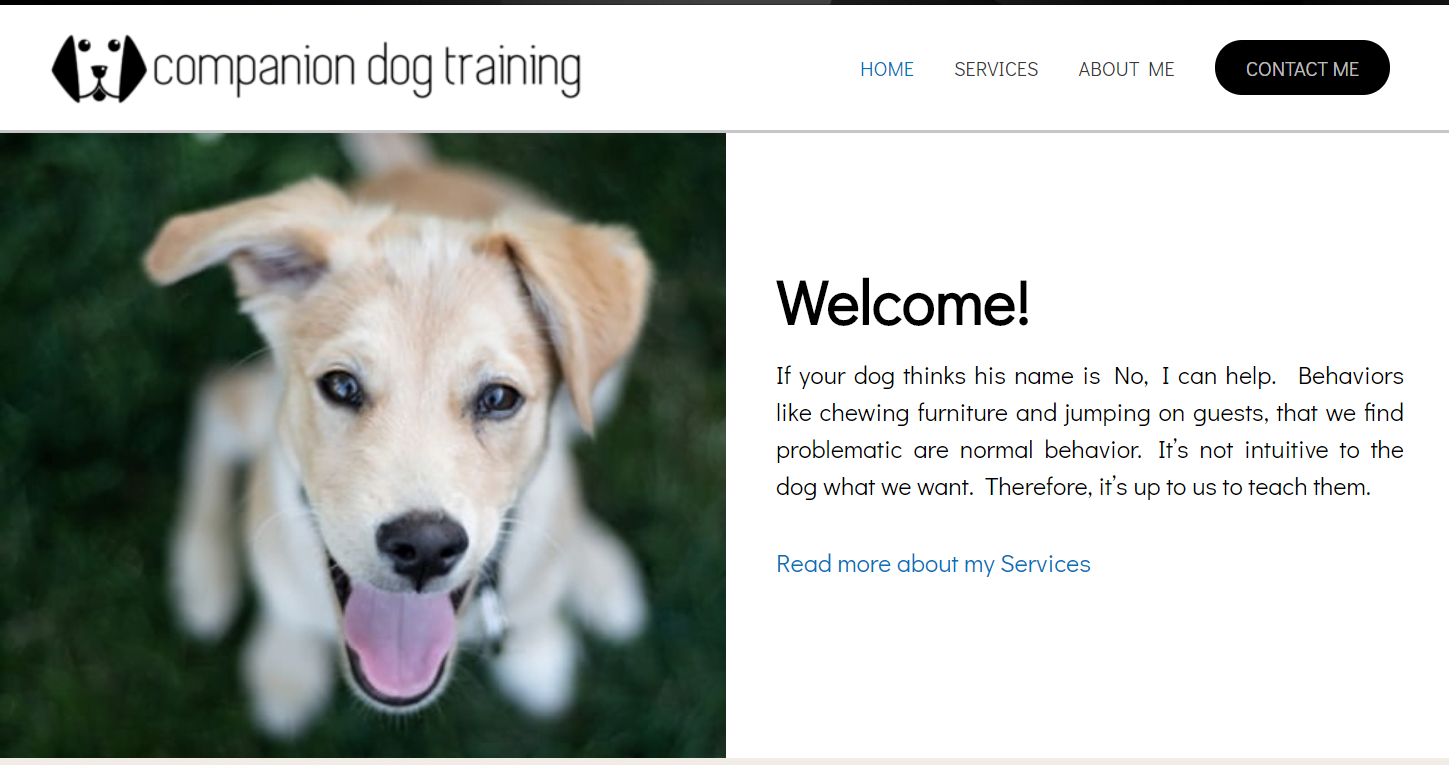Read more about the article Companion Dog Training